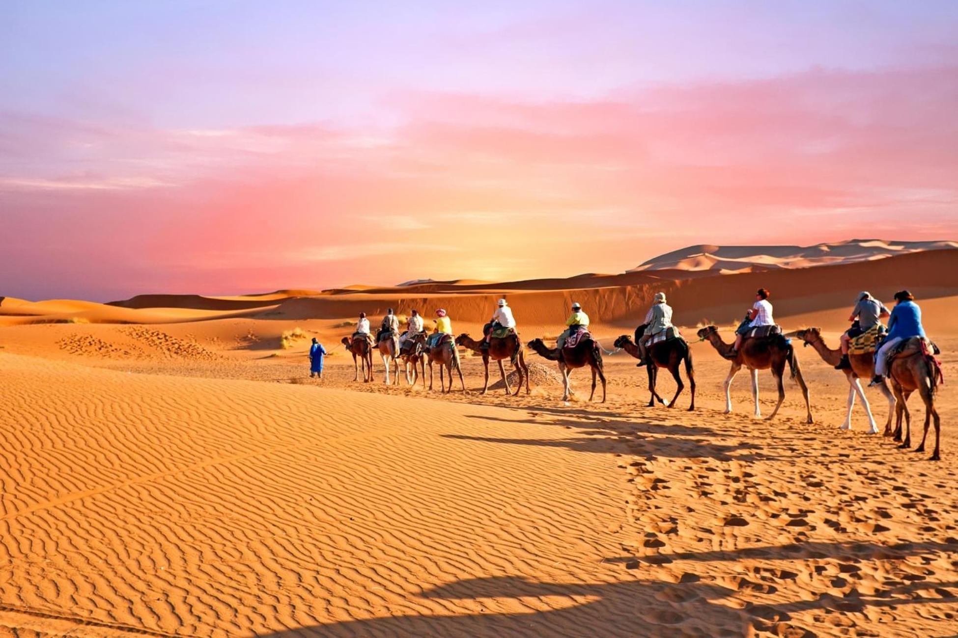 Desert Camel Trek Merzouga Esterno foto