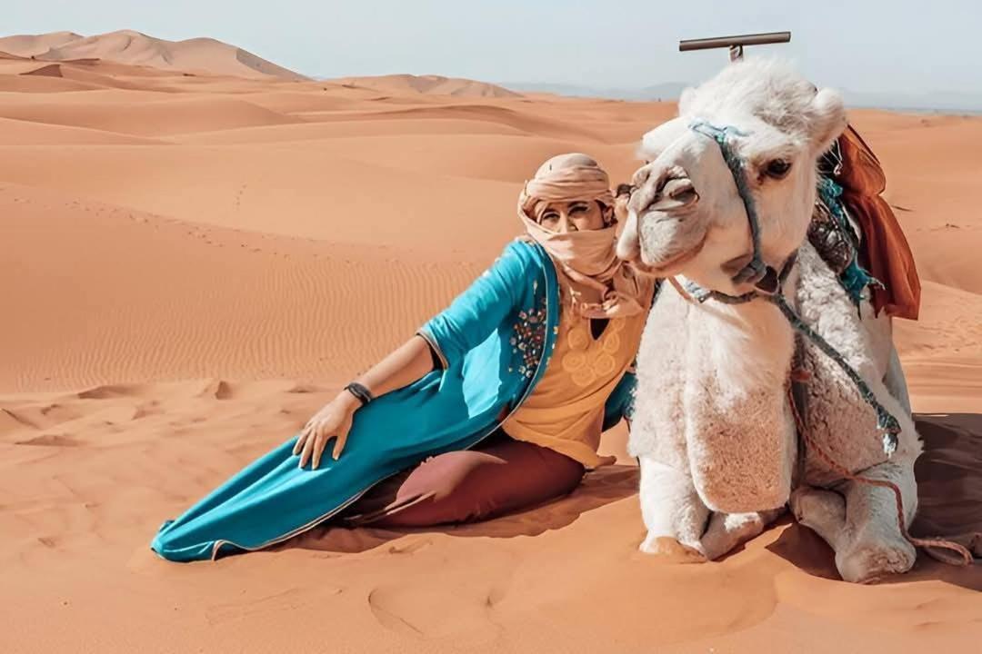 Desert Camel Trek Merzouga Esterno foto